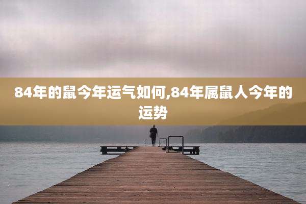 84年的鼠今年运气如何,84年属鼠人今年的运势