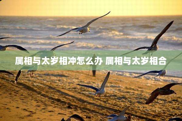 属相与太岁相冲怎么办 属相与太岁相合