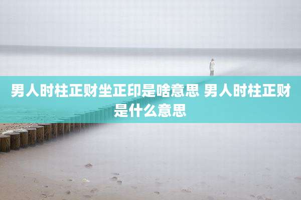 男人时柱正财坐正印是啥意思 男人时柱正财是什么意思