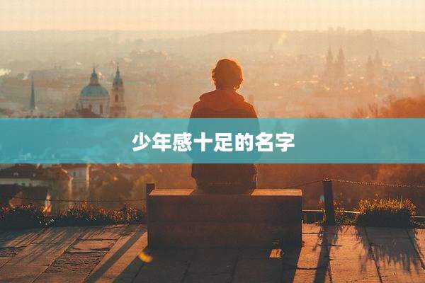 少年感十足的名字