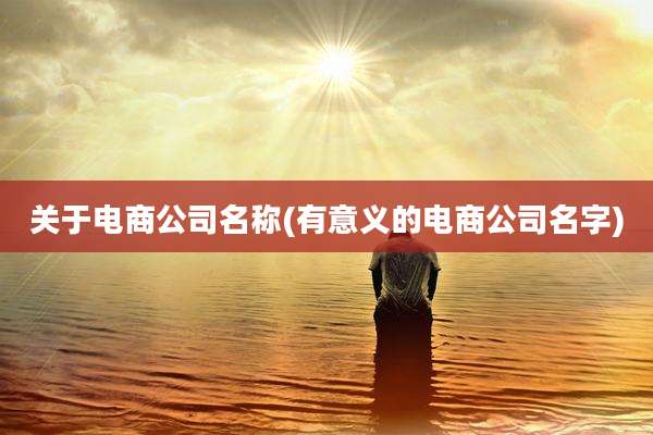 关于电商公司名称(有意义的电商公司名字)