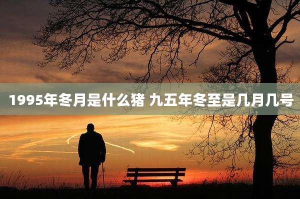 1995年冬月是什么猪 九五年冬至是几月几号