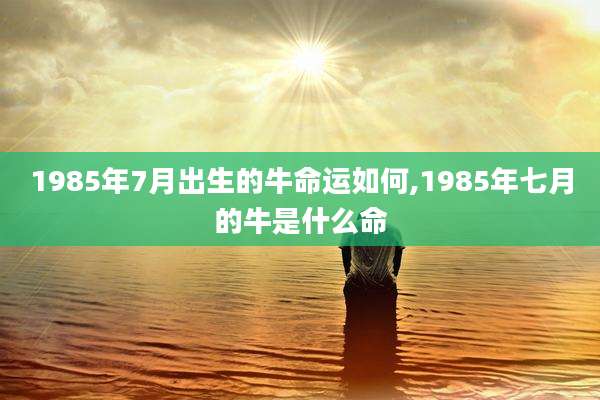 1985年7月出生的牛命运如何,1985年七月的牛是什么命