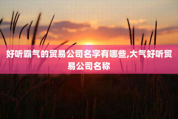 好听霸气的贸易公司名字有哪些,大气好听贸易公司名称