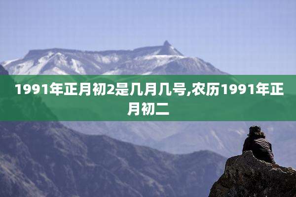 1991年正月初2是几月几号,农历1991年正月初二