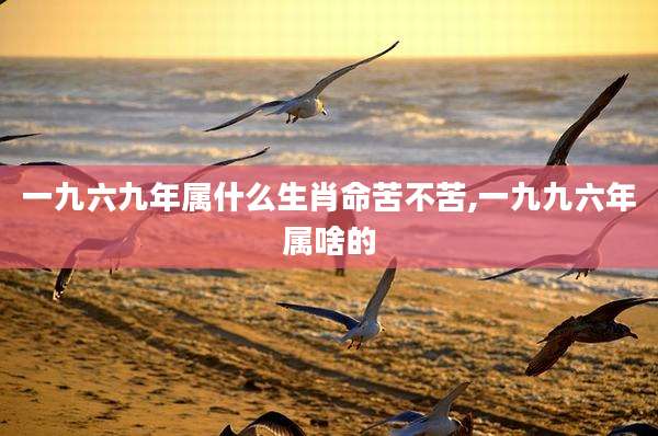 一九六九年属什么生肖命苦不苦,一九九六年属啥的