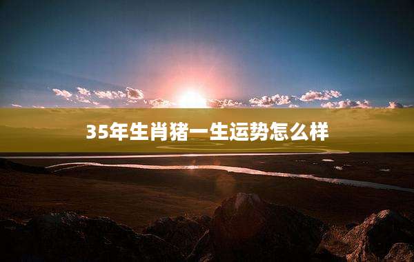 35年生肖猪一生运势怎么样