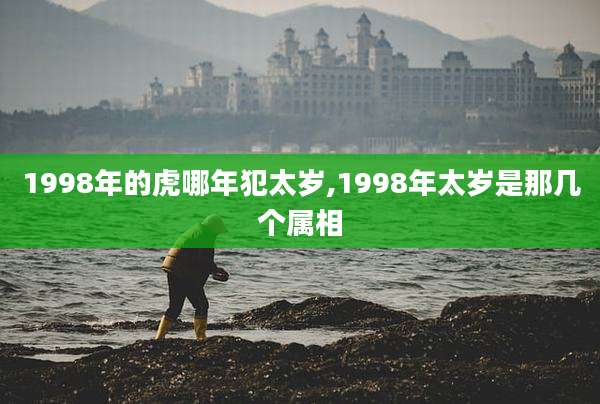 1998年的虎哪年犯太岁,1998年太岁是那几个属相