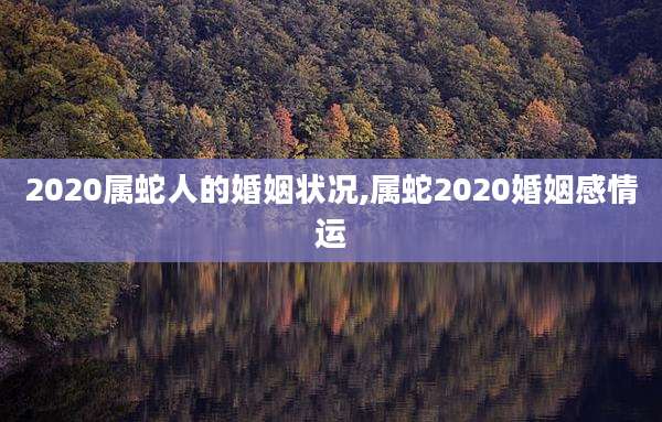 2020属蛇人的婚姻状况,属蛇2020婚姻感情运