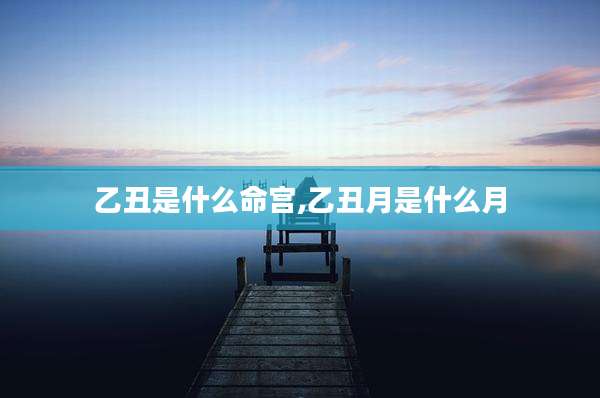 乙丑是什么命宫,乙丑月是什么月