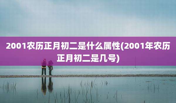 2001农历正月初二是什么属性(2001年农历正月初二是几号)