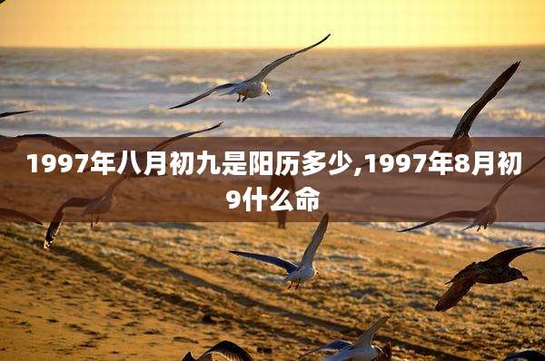 1997年八月初九是阳历多少,1997年8月初9什么命