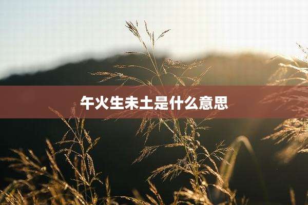 午火生未土是什么意思