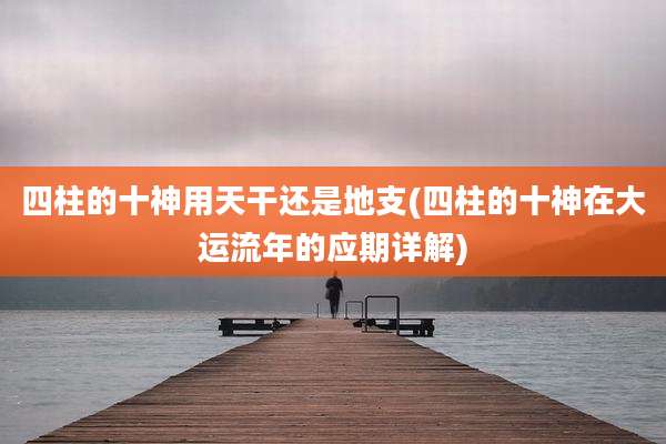 四柱的十神用天干还是地支(四柱的十神在大运流年的应期详解)