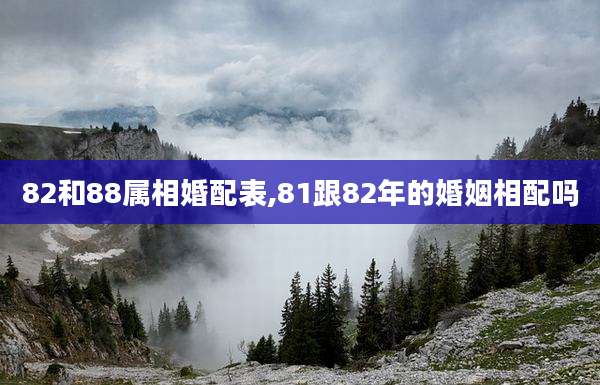 82和88属相婚配表,81跟82年的婚姻相配吗