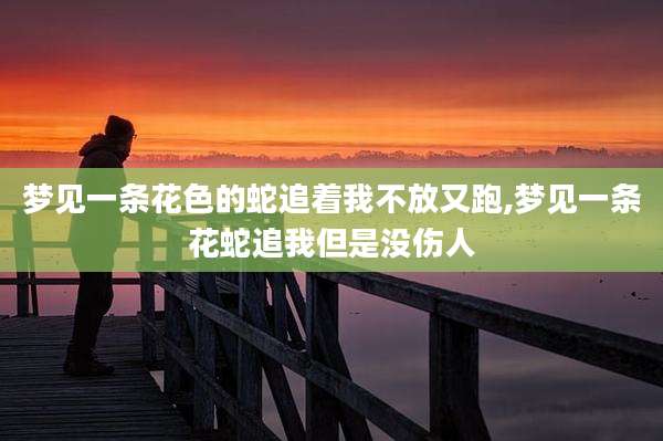 梦见一条花色的蛇追着我不放又跑,梦见一条花蛇追我但是没伤人