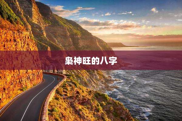 枭神旺的八字