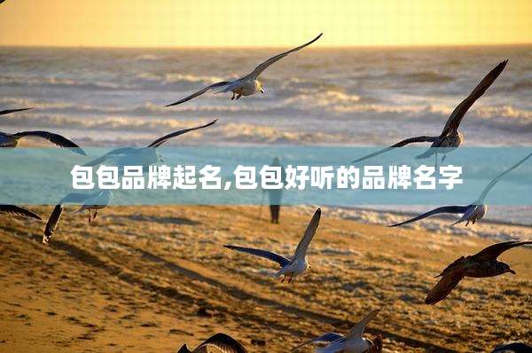 包包品牌起名,包包好听的品牌名字