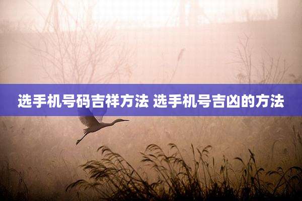 选手机号码吉祥方法 选手机号吉凶的方法