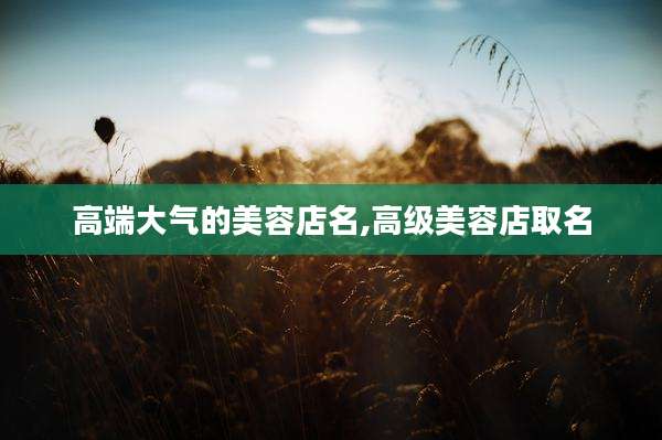 高端大气的美容店名,高级美容店取名
