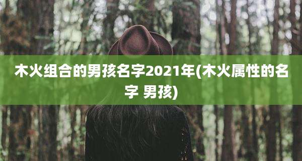 木火组合的男孩名字2021年(木火属性的名字 男孩)