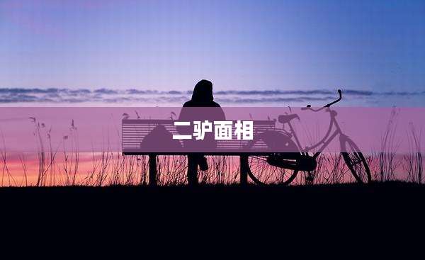 二驴面相