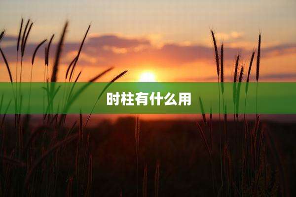 时柱有什么用