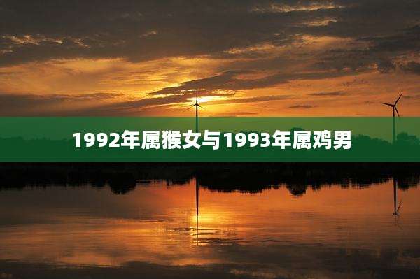 1992年属猴女与1993年属鸡男