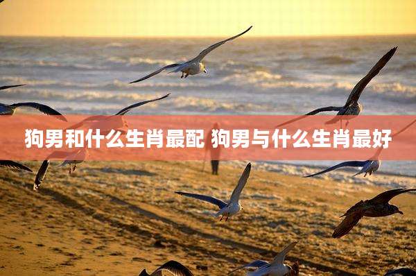 狗男和什么生肖最配 狗男与什么生肖最好