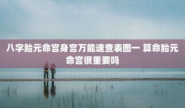 八字胎元命宫身宫万能速查表图一 算命胎元命宫很重要吗
