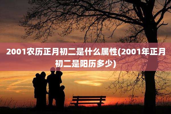 2001农历正月初二是什么属性(2001年正月初二是阳历多少)