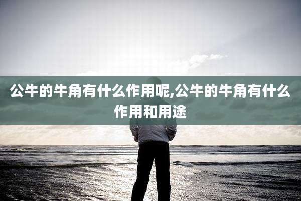 公牛的牛角有什么作用呢,公牛的牛角有什么作用和用途