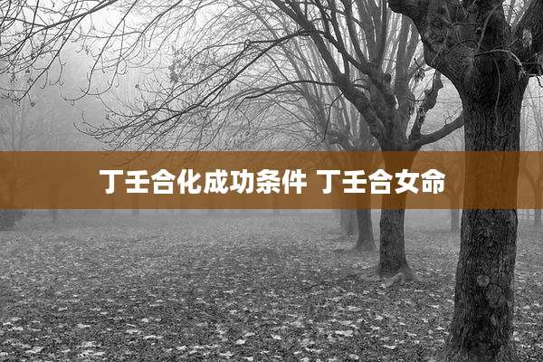 丁壬合化成功条件 丁壬合女命