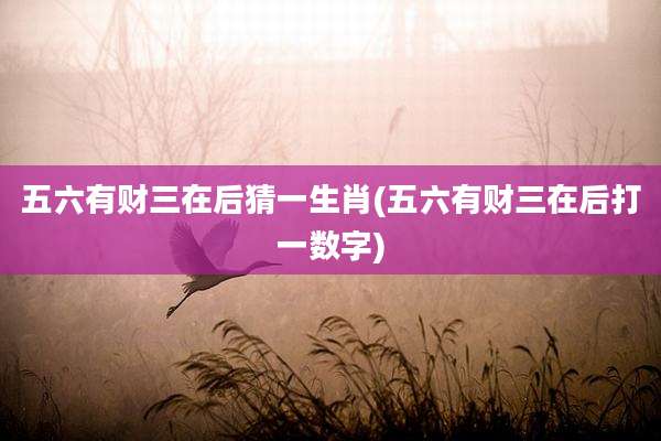 五六有财三在后猜一生肖(五六有财三在后打一数字)