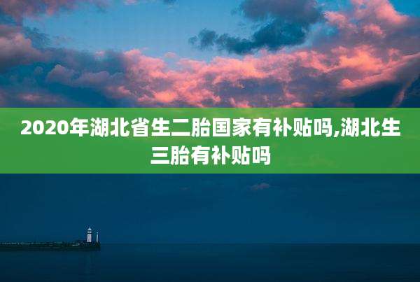 2020年湖北省生二胎国家有补贴吗,湖北生三胎有补贴吗