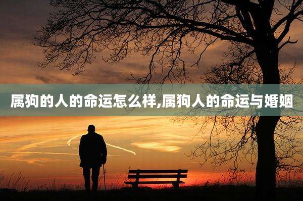 属狗的人的命运怎么样,属狗人的命运与婚姻