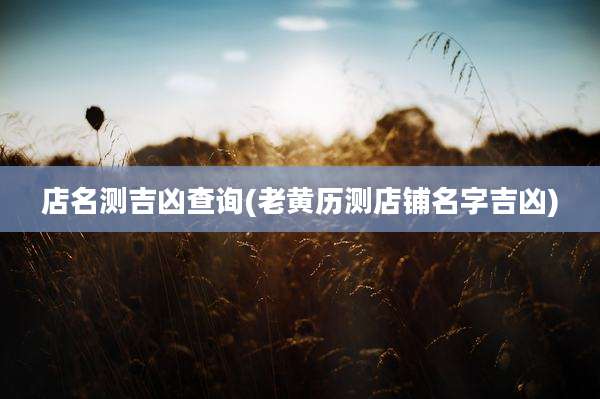 店名测吉凶查询(老黄历测店铺名字吉凶)