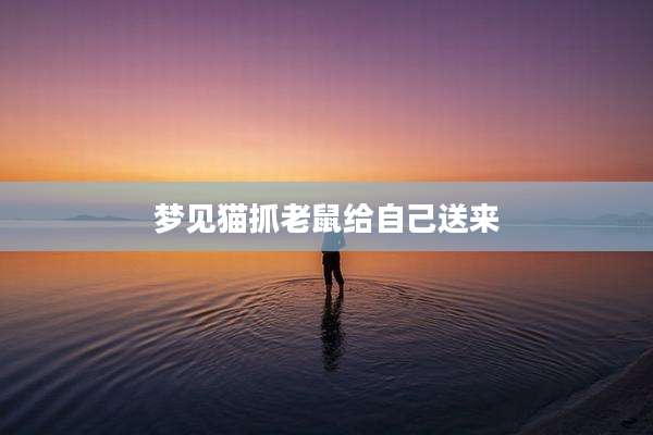 梦见猫抓老鼠给自己送来