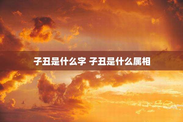 子丑是什么字 子丑是什么属相