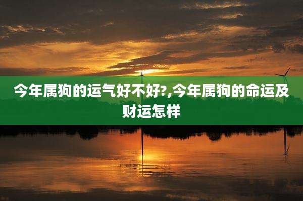 今年属狗的运气好不好?,今年属狗的命运及财运怎样