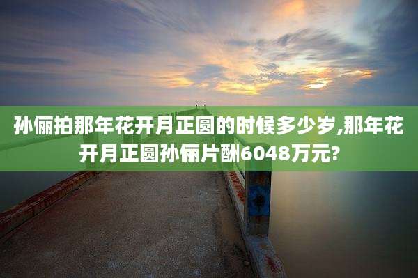 孙俪拍那年花开月正圆的时候多少岁,那年花开月正圆孙俪片酬6048万元?