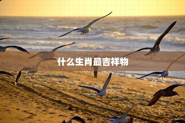 什么生肖最吉祥物