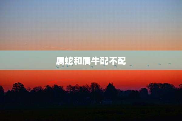 属蛇和属牛配不配