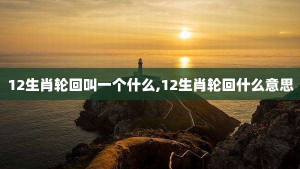 12生肖轮回叫一个什么,12生肖轮回什么意思