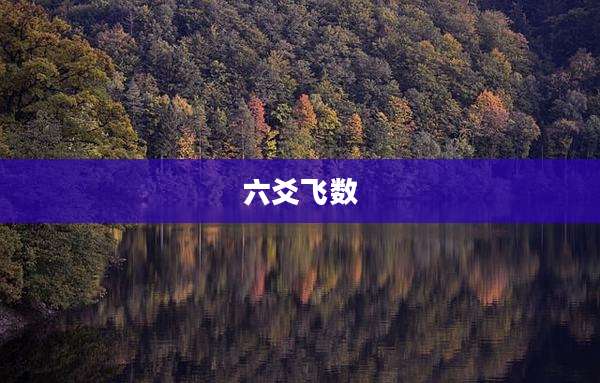 六爻飞数