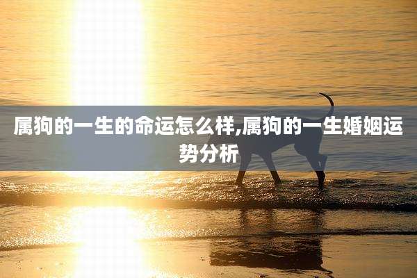 属狗的一生的命运怎么样,属狗的一生婚姻运势分析