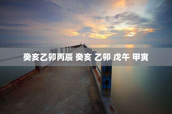 癸亥乙卯丙辰 癸亥 乙卯 戊午 甲寅