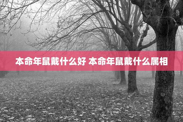 本命年鼠戴什么好 本命年鼠戴什么属相