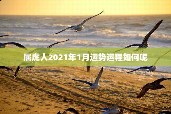 属虎人2021年1月运势运程如何呢