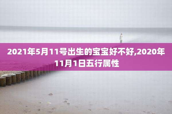 2021年5月11号出生的宝宝好不好,2020年11月1日五行属性
